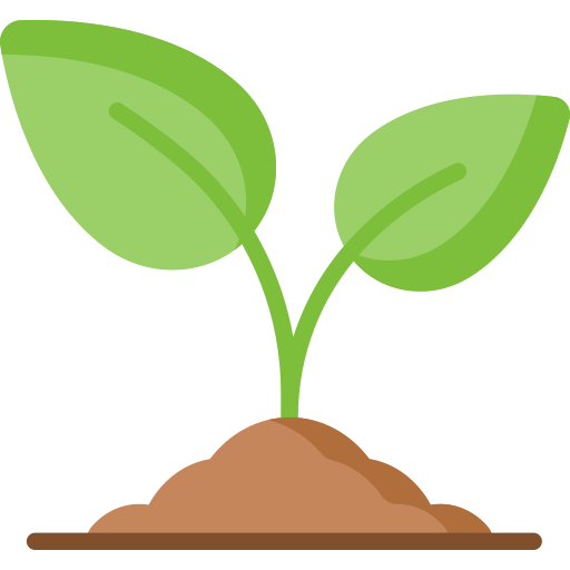 Online Reading & Writing Tutoring Services!